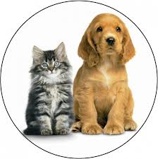 Očkovanie psov a mačiek proti besnote